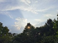 -火炉山森林公园