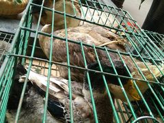 -百丈园(陈村店)