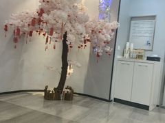 -牙博士口腔(杨浦店)