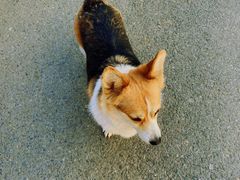 -辛庄国际文化艺术区