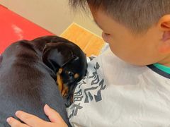 -和它·交个朋友·狗咖猫咖(爱琴海店)