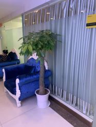 点击看大图 -青岛诺德医学美容医院