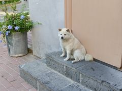 -琥珀川糟粕醋火锅(慈云寺店)