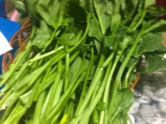 菠菜-牛叔鲜羊肉铜火锅(远东小区店)