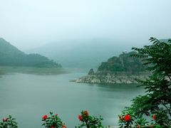 -燕塞湖鸟语林景区