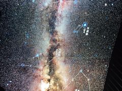 -贝林大翅鲸简餐厅(国家海洋博物馆店)