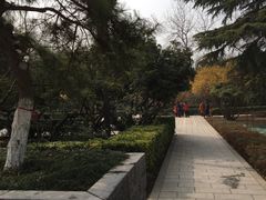 -莲湖公园