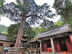-崂山九水游览区