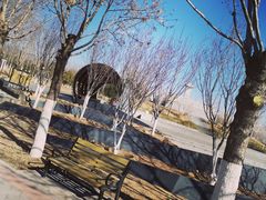 -永定河休闲森林公园