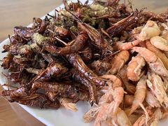 -独流饭店(静海区国土资源分局西)