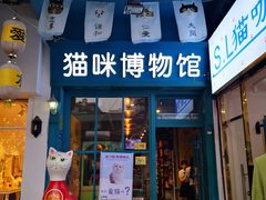-猫咪博物馆(顶澳仔猫街店)