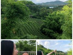 -深圳东部华侨城茵特拉根酒店