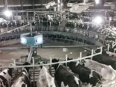 -君乐宝优致牧场