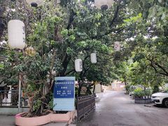 -光明刘冰乳鸽店(光明法政北路店)