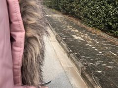 -小杨生煎(松江大学城店)