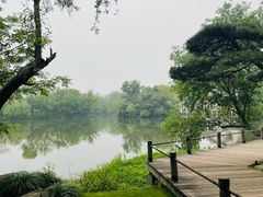 -新荣记(西溪湿地店)