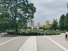 -莲花池公园