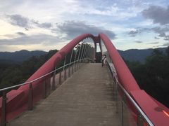 -金鸡山公园