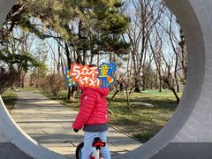 -玲珑塔公园