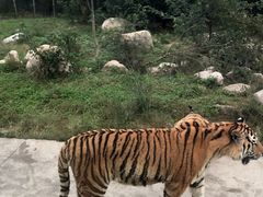 -西安秦岭野生动物园