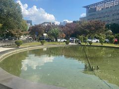 -上海中医药大学附属曙光医院(东部)