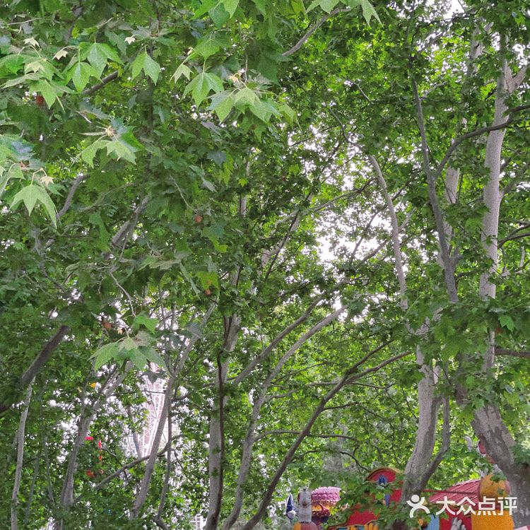 碧沙岗真的是老郑州人的回忆了 小时候最常来的公园就是