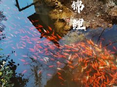 -黑龙潭公园