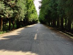 -山王坪喀斯特国家生态公园