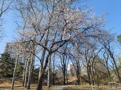 -元大都城垣遗址公园