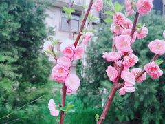 -莲湖公园