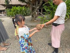 -大象粑粑造纸公园
