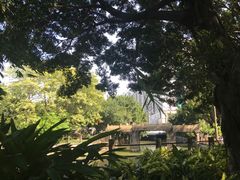-晓港公园