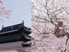 -雨花胜境
