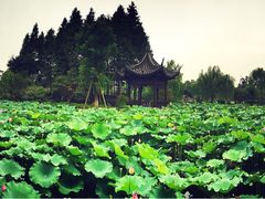 望津里精品酒店-乌镇望津里精品酒店