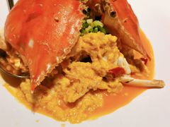 -连鹭海鲜·海肠捞饭·海胆饭(星海店)