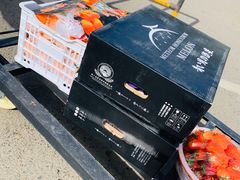 -西北农副产品中心批发市场(广安路店)