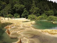 -黄龙山原始森林景区