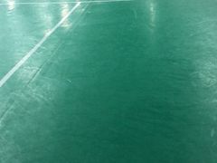 -羽跃羽毛球馆(民星路店)