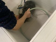 -酷狗靓猫宠物·洗护·美容·寄养(航北路店)