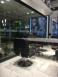 -华卫思理轻奢造型