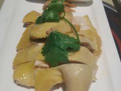 -鼎记啫啫煲(数博万达店)