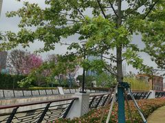 -北外滩滨江绿地