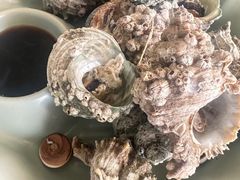 拼螺-魚當家