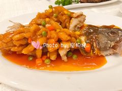 -国际饭店·帆声西饼屋(黄河路店)