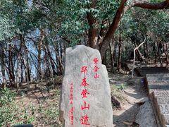 -紫金山山顶公园