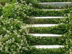 -艾山风景名胜区