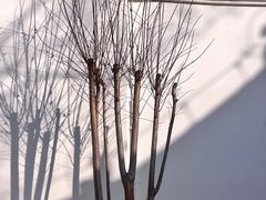 -东坡赤壁风景名胜区