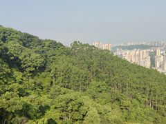 -福道