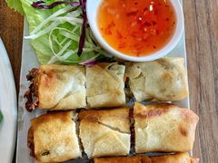 炸春卷-Kat's Kitchen