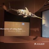 ✨穿越太空来吃海鲜💥